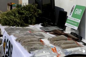 GNR APREENDE MIL DOSES DE DROGA EM OPERAÇÃO NUM FESTIVAL EM VALENÇA