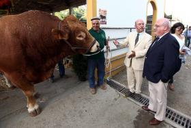 MINISTRO INCENTIVA INDUSTRIAIS A APOSTAREM EM UNIDADES DE TRANSFORMAÇÃO DE PORCO PRETO