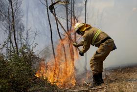 MAIS DE 900 OPERACIONAIS EM 44 FOGOS, MONCHIQUE E ARCOS VALDEVEZ SÃO OS MAIORES