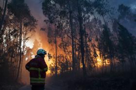 MAIS DE 100 OPERACIONAIS COMBATEM INCÊNDIO EM MONTARGIL, PONTE DE SOR