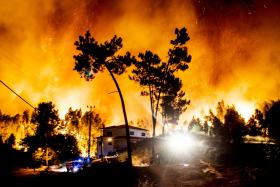 INCÊNDIO EM SOURE, COIMBRA, JÁ CONSUMIU MAIS DE 500 HECTARES – CÂMARA