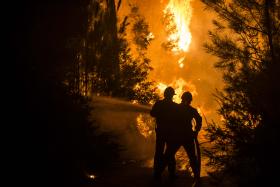 INCÊNDIOS: ÁREA ARDIDA QUASE QUE DUPLICOU ESTE ANO, NUM TOTAL DE 107.128 HECTARES