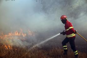 INCÊNDIOS: MAIS DE 200 BOMBEIROS COMBATEM FOGO EM VALE DE CAMBRA