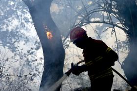 INCÊNDIOS: DOMINADO INCÊNDIO EM SOURE, OITO DE GRANDE DIMENSÃO CONTINUAM ATIVOS