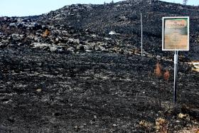 PLANOS DE EMERGÊNCIA DE SEGUNDA GERAÇÃO EM 60% DOS MUNICÍPIOS DE PORTUGAL CONTINENTAL