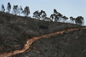 CONCELHO DO SABUGAL, NO DISTRITO DA GUARDA, COM “RISCO MÁXIMO” DE INCÊNDIO