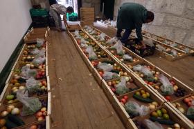 COOPERATIVA SALVA EM TRÊS MESES 14 TONELADAS DE “FRUTA FEIA” NO PORTO E GAIA