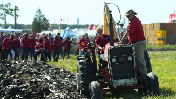 A primeira-ministra do Ontário Kathleen Wynne participa numa competição (lavrar a terra) durante o International Plowing Match, em Finch, Ontário - 22 de setembro de 2015. The Canadian Press / Sean Kilpatrick