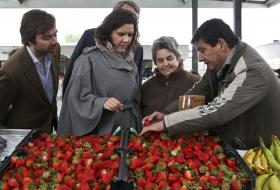 CDS-PP PEDE DEMISSÃO DE MINISTRO DA EDUCAÇÃO POR CAUSA DE FALSAS LICENTIATURAS