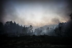 64 BOMBEIROS COMBATEM FOGO NO SABUGAL