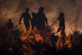 INCÊNDIOS: DOMINADO FOGO FLORESTAL NO CONCELHO DE AGUIAR DA BEIRA