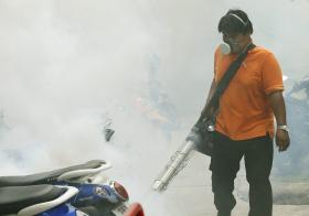 ZIKA: OMS TEME PROPAGAÇÃO DO VÍRUS NA ÁSIA-PACÍFICO