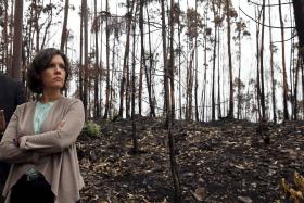 CDS REVÊ-SE NO VETO DO PR E DIZ QUE GOVERNO TEM OPORTUNIDADE DE ARRUMAR ASSUNTO