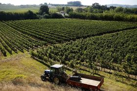 QUINTA DO MONTE D’OIRO EXPANDE PRODUÇÃO DE UVA BIOLÓGICA EM 2017