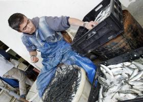 BRUXELAS PROPÕE CORTES NAS PESCAS DE ÁGUAS PROFUNDAS ATÉ 20%