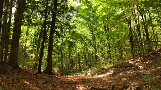 (Nature Conservancy of Canada)