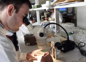 POLITÉCNICOS DEFENDEM HOJE NO PARLAMENTO POSSIBILIDADE DE TEREM DOUTORAMENTOS