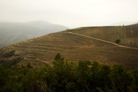 ROTA TURÍSTICA COM 200 QUILÓMETROS UNE DOURO INTERNACIONAL E DOURO VINHATEIRO