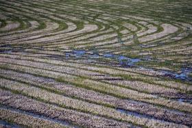 GOVERNO VAI INVESTIR 500 MILHÕES  DE EUROS EM PROGRAMA DE REGADIO ATÉ 2020