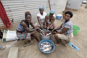 PEIXE FRESCO DA ILHA DE LUANDA DEIXA DE SER VENDIDO EM BANCAS IMPROVISADAS