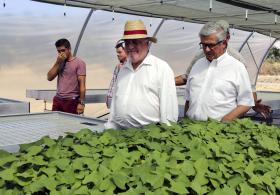 MINISTÉRIO PAGOU 525 ME DE APOIOS AOS AGRICULTORES, O MAIOR ADIANTAMENTO DE SEMPRE