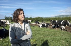 CRISTAS EXORTA COSTA A DIZER SE FEZ ACORDO COM ADMINISTRADORES DA CGD