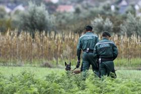 SUSPEITO DE DUPLA TENTATIVA DE HOMICÍDIO EM VENDAS NOVAS ENTREGOU-SE À GNR