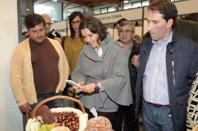 CGD: CDS-PP DIZ QUE NÃO HÁ “RAZÃO OBJETIVA VÁLIDA” PARA ADMINISTRADORES NÃO ENTREGAREM DECLARAÇÕES