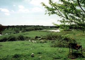 TRABALHADORES DA HERDADE DE RIO FRIO PROTESTAM CONTRA PAGAMENTOS EM ATRASO