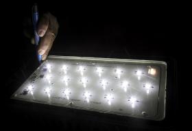 INVESTIGADORES ALERTAM PARA MALEFÍCIOS DA ILUMINAÇÃO INTENSIVA NO AMBIENTE E NA SAÚDE