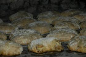 PÃO 100% PORTUGUÊS PROMOVE PRODUÇÃO DE CEREAIS EM PORTUGAL