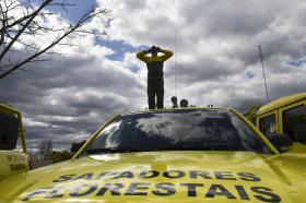 PRESIDENTE PROMULGA DIPLOMA REFERE AO REGIME JURÍDICO DOS SAPADORES FLORESTAIS