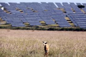 ESTREMOZ VAI TER QUATRO CENTRAIS SOLARES FOTOVOLTAICAS, NUM INVESTIMENTO DE 20ME