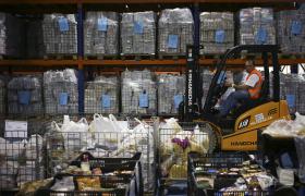 BANCO ALIMENTAR RECOLHE 1.100 TONELADAS DE ALIMENTOS NO PRIMEIRO DIA DA CAMPANHA