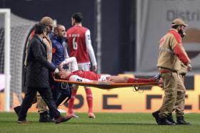 STOJILJKOVIC COM LESÃO MUSCULAR SÓ DEVERÁ REGRESSAR EM 2017