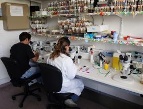 COMPOSTO QUÍMICO PODE SER EFICAZ NO TRATAMENTO DE LEUCEMIA FREQUENTE EM CRIANÇAS