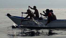 PR DA GUINÉ-BISSAU PEDE CONTRAPARTIDAS PELAS LICENÇAS DE PESCA ATRIBUÍDAS A NAVIOS ESTRANGEIROS