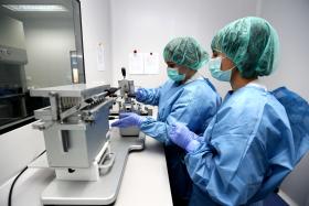 PRIMEIRO MEDICAMENTO ONCOLÓGICO PORTUGUÊS TESTADO COM SUCESSO EM TUMORES DA CABEÇA E PESCOÇO