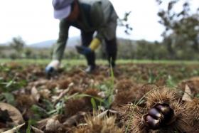 TRÁFICO E ESCRAVIDÃO VÃO CONTINUAR SE FLUXOS MIGRATÓRIOS NÃO FOREM INTEGRADOS – ACT