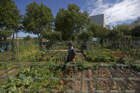 NOVA PLATAFORMA VIRTUAL VAI LIGAR AGRICULTORES E CONSUMIDORES DE TODO O PAÍS