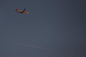 20166892.jpg