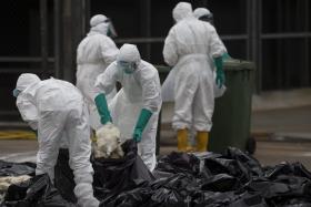MACAU REGISTA PRIMEIRO CASO IMPORTADO DE INFEÇÃO HUMANA COM VÍRUS H7N9 ESTE ANO