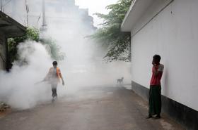 CABO VERDE REFORÇA COMBATE A MOSQUITOS APÓS CONFIRMAÇÃO DE CASOS DE DENGUE