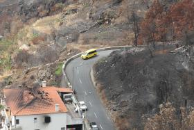 INCÊNDIOS: 60 FOGOS ATINGIDOS NA MADEIRA ESTÃO TOTALMENTE RECUPERADOS – GOVERNO REGIONAL