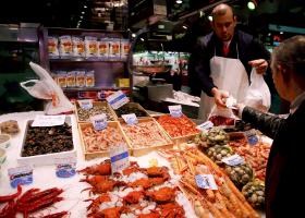 PORTUGAL DEVE CRIAR CONSELHO NACIONAL DE SEGURANÇA ALIMENTAR – FAO