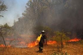 INCÊNDIOS LEVAM GOVERNO DO CHILE A DECRETAR ESTADO DE CATÁSTROFE NO CENTRO PAÍS