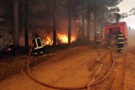 INCÊNDIOS FLORESTAIS NO CENTRO E SUL DO CHILE FORÇAM 4.000 PESSOAS A SAÍREM CASA