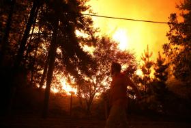 PELO MENOS SEIS MORTOS NOS INCÊNDIOS FLORESTAIS DO CHILE