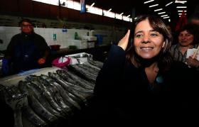 CATARINA MARTINS DIZ QUE CIMEIRA DE LISBOA É OPORTUNIDADE PARA REJEITAR TRATADO ORÇAMENTAL