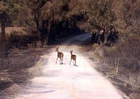 MAFRA FORMALIZA CANDIDATURA DO PALÁCIO A PATRIMÓNIO MUNDIAL JUNTO DA UNESCO